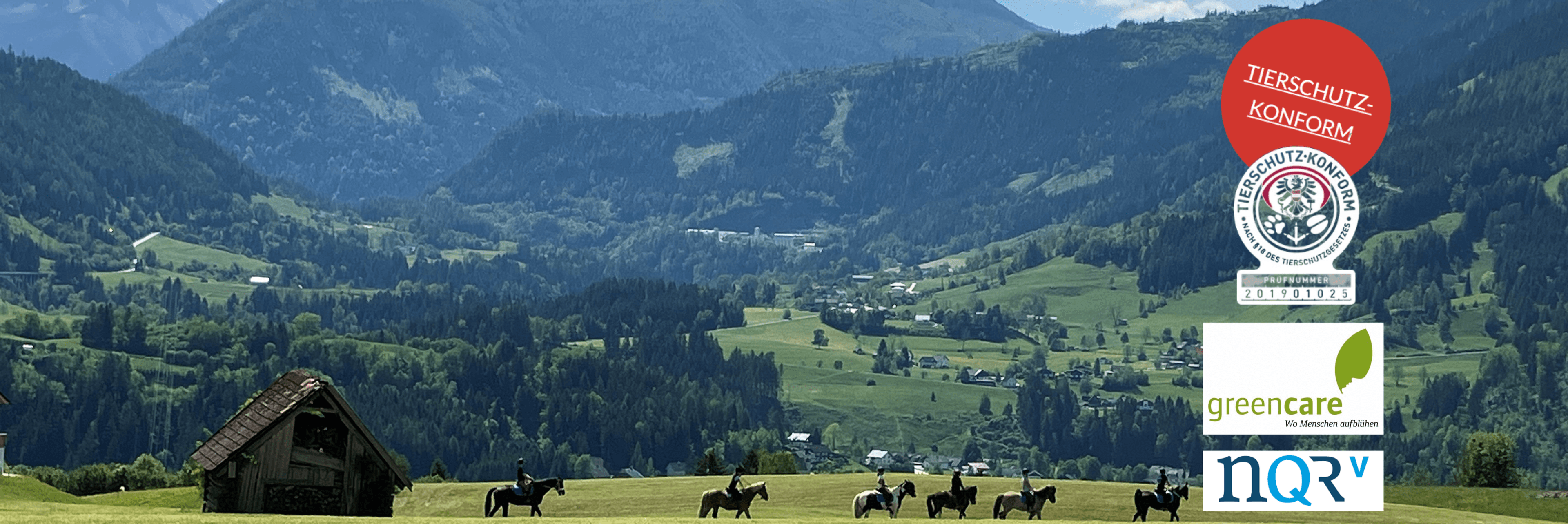 Finde einen Reitstall oder Reitpädagog*innen  in deiner Nähe. 