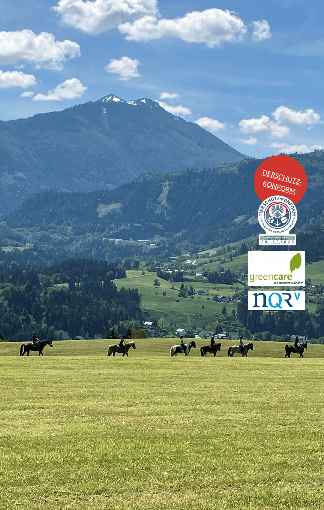 Finde einen Reitstall oder Reitpädagog*innen  in deiner Nähe. 